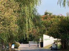 -同里国家湿地公园