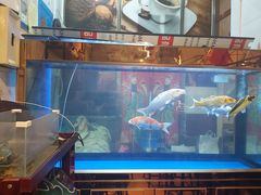 -元氏钵仔糕(北京路店)