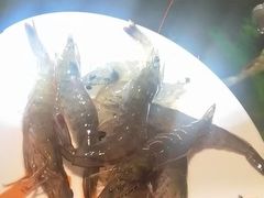 -V-ONE西雅图海鲜自助餐厅(仓山万达广场店)