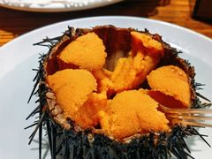 海胆-海味当家·蒸锅海鲜(星海公园店)