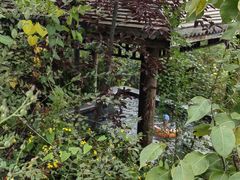 -遵化汤泉宫度假村温泉