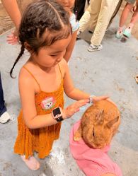 -Zoolung Zoolung动物主题公园(海信广场店)