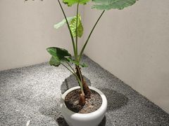 -常乐·对症推拿(解放碑英利大融城店)