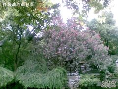 -复旦大学附属华山医院(总院)