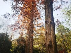 -敬亭山风景名胜区