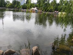 -莲湖公园
