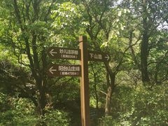 -阳台山自然风景区