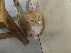 -老刘家泡馍·陕西老字号(钟楼广济街店)