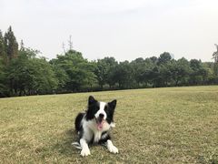 -成都南湖公园