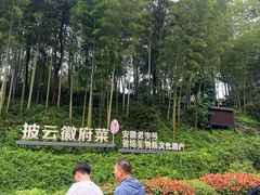 -披云山庄