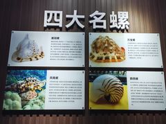 -贝壳王国博物馆