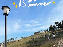 -小麦岛公园