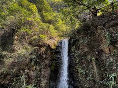 -马峦山郊野公园