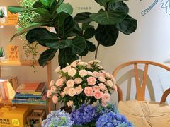 -左悦·艾灸调理·推拿按摩·精油SPA(卓悦汇店)