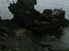 -龙头岩(Dragon Head Rock)