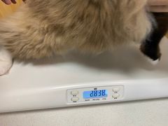 -中农大我爱我爱动物医院·核磁CT·猫病·24小时夜诊中心(石佛营店)