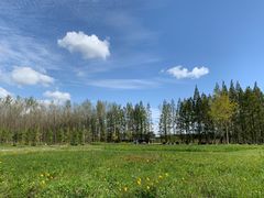 -黄海国家森林公园