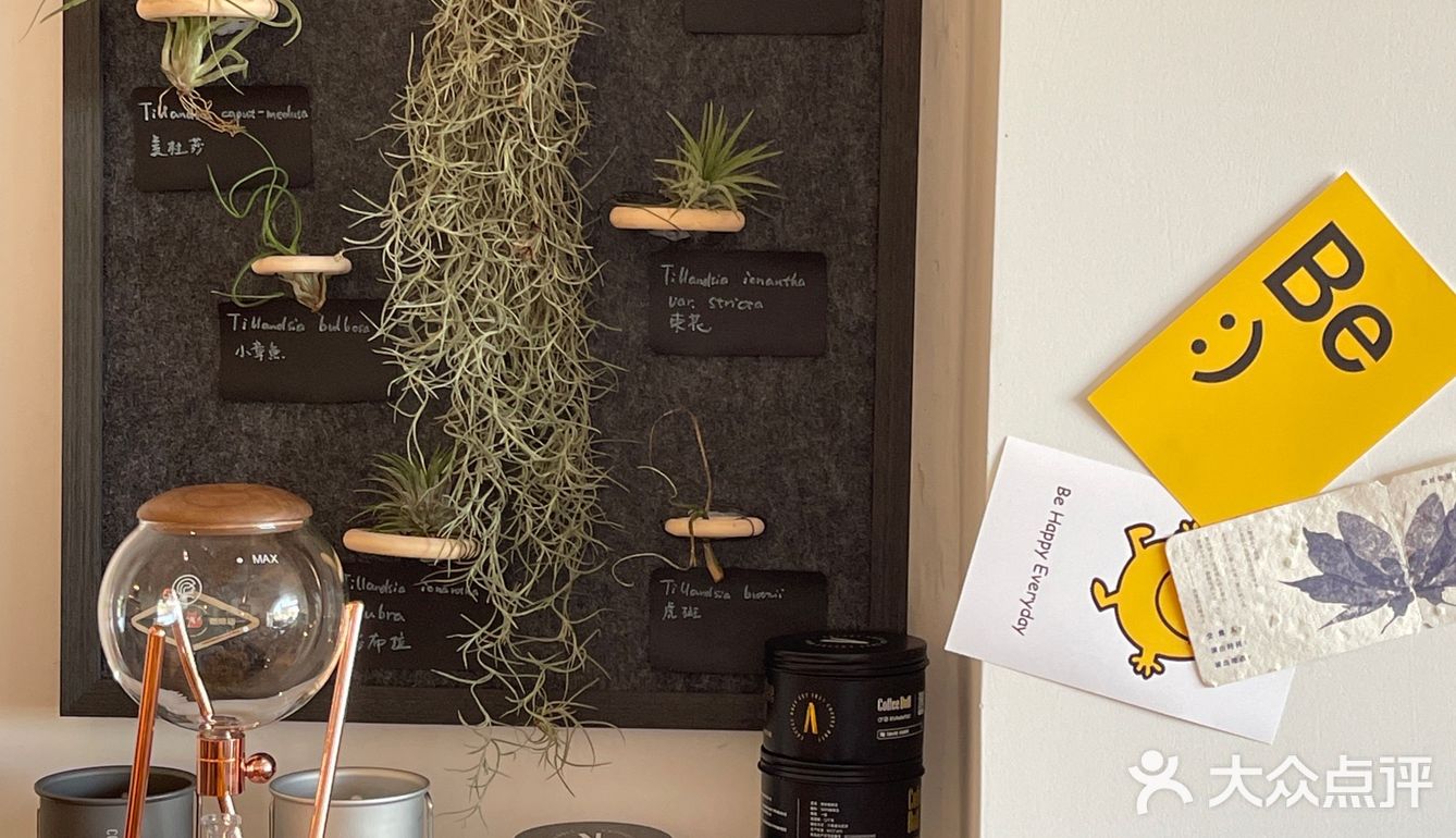 黑咖啡+巴斯克 ☕️🍰最佳“cp”组合