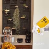 黑咖啡+巴斯克 ☕️🍰最佳“cp”组合