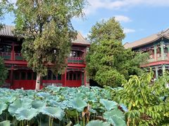 -莲池书院博物馆