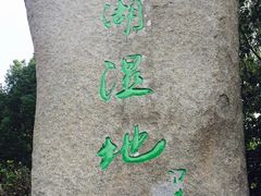 -溱湖国家湿地公园