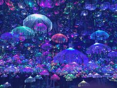 -天津梵高星空艺术馆(天河城旗舰店)