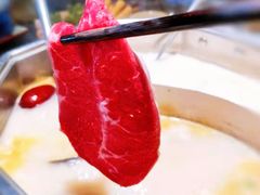 -新草堂锅物料理(泉城路店)
