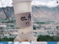 -布达拉宫