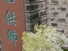 -古大圣慈寺
