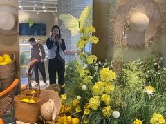 -迦南的早晨蛋糕甜品集合店