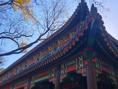 -灵谷景区