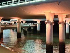 -演武大桥观景平台