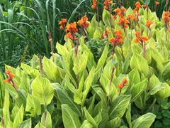 -艾溪湖湿地公园