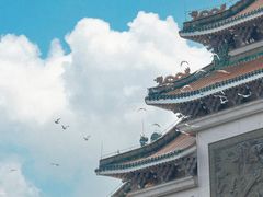 -顺峰山公园