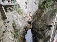 -鹿院坪生态旅游景区