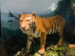 -陕西自然博物馆