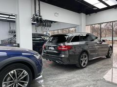 -XPEL旗舰店·汽车贴膜·隐形车衣·改色贴膜