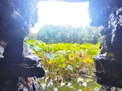 -莲池书院博物馆