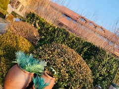 -大连金石滩绿发温泉假日酒店