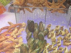 -松咖啡自助餐厅·松北香格里拉