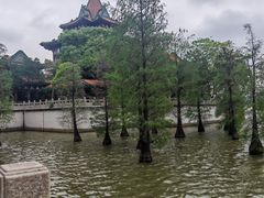 -顺峰山公园