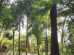 -小南山公园