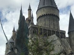 -哈利波特魔法世界