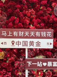 -中国黄金(北京旗舰店)