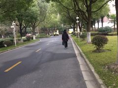 -上海市实验学校