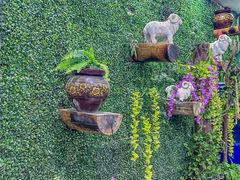 -鹏馨羊羔肉(新建街店)