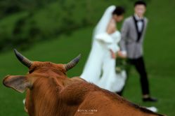 点击看大图 -挪娅婚纱摄影皇家会所