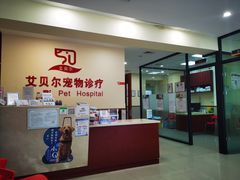 -艾贝尔宠物诊疗