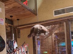 -泥糊破店小酒馆·团建聚餐(南京西路店)