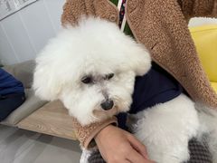 -思琪宠物医院(昆山花桥店)